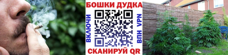 Где купить Пустошка Амфетамин  Каннабис  МЕФ  Гашиш  СОЛЬ 