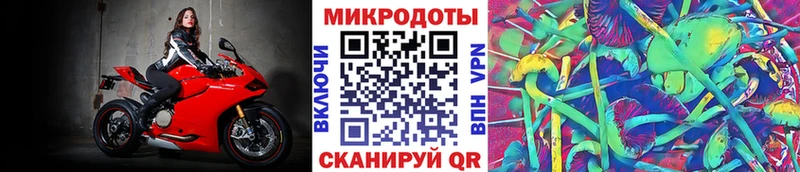 цена   Пустошка  Галлюциногенные грибы MAGIC MUSHROOMS 